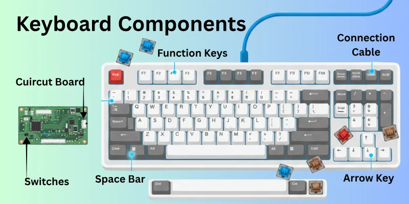 Keyboard Components