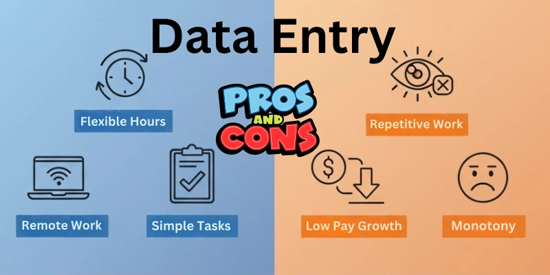 Pros and Cons of Data Entry